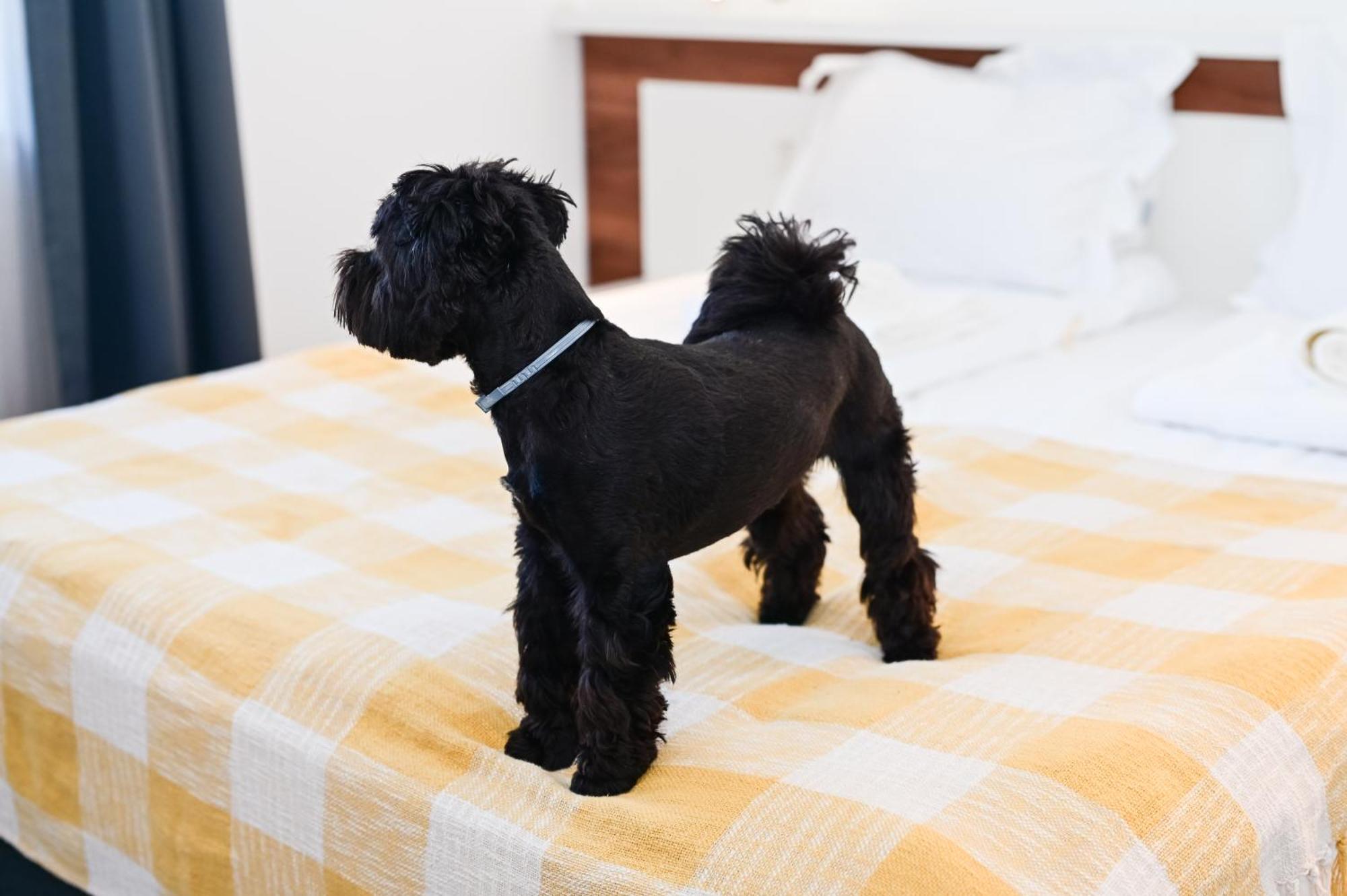 Rubo Hotel 苏曼 外观 照片